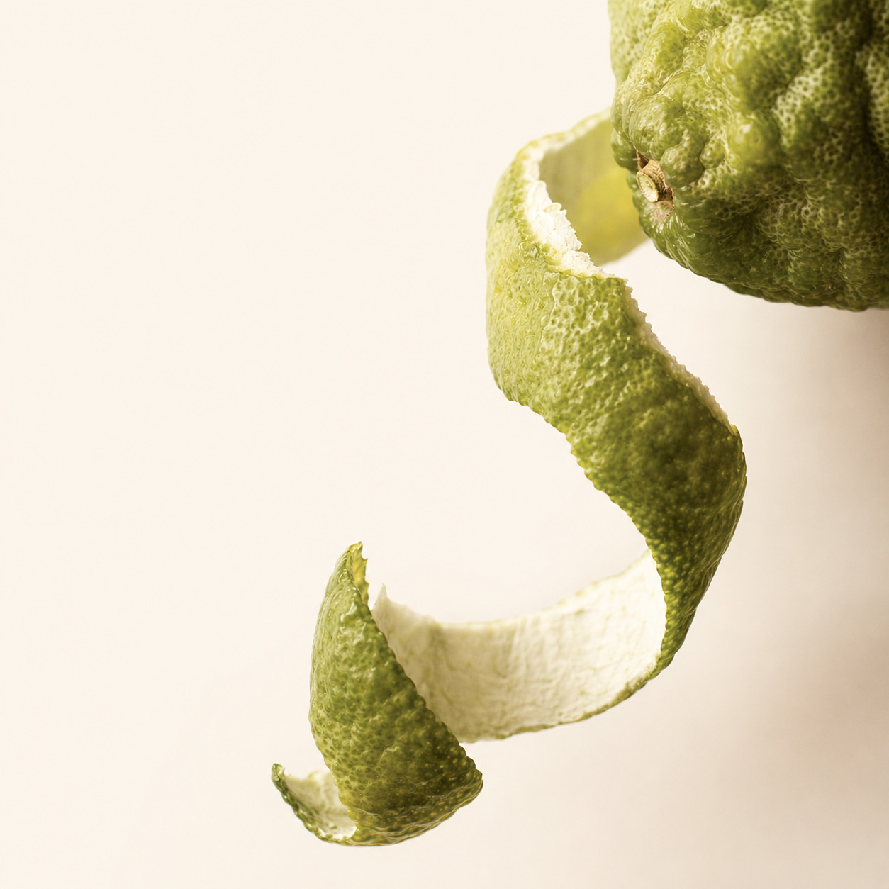 The Forest Car Fragrance · Classic 13 g