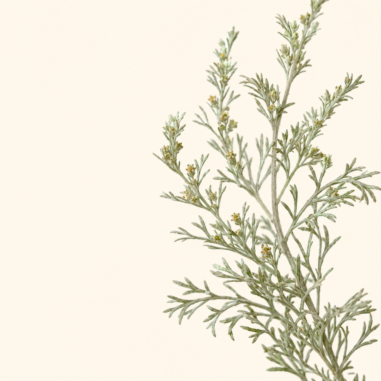 Midsummer Wakayama inverted space fragrance diffuser · 360ml