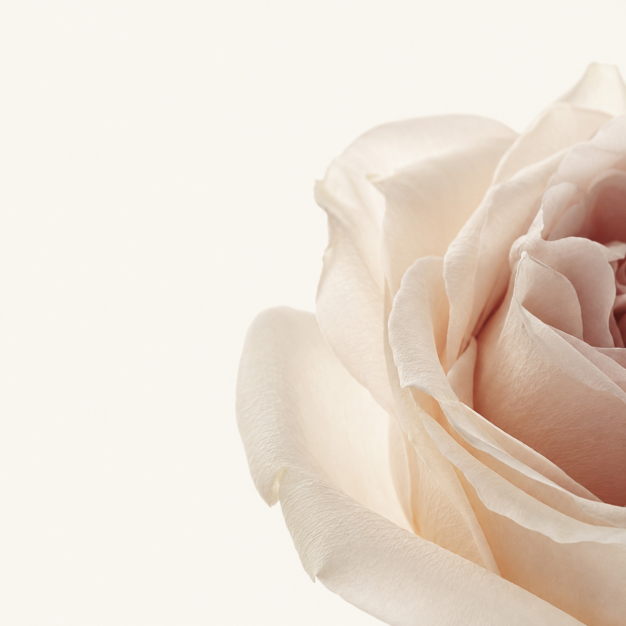 Aix Vacation Signature Fragrance Gift Set