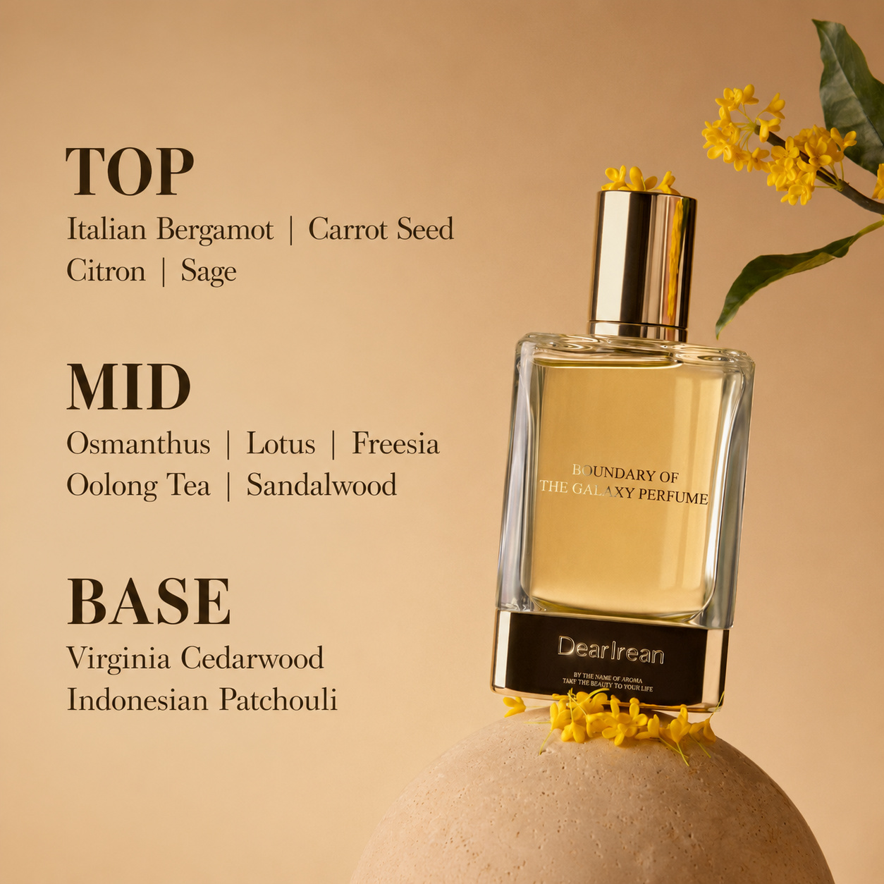 Boundary of the Galaxy Perfume 50 mL