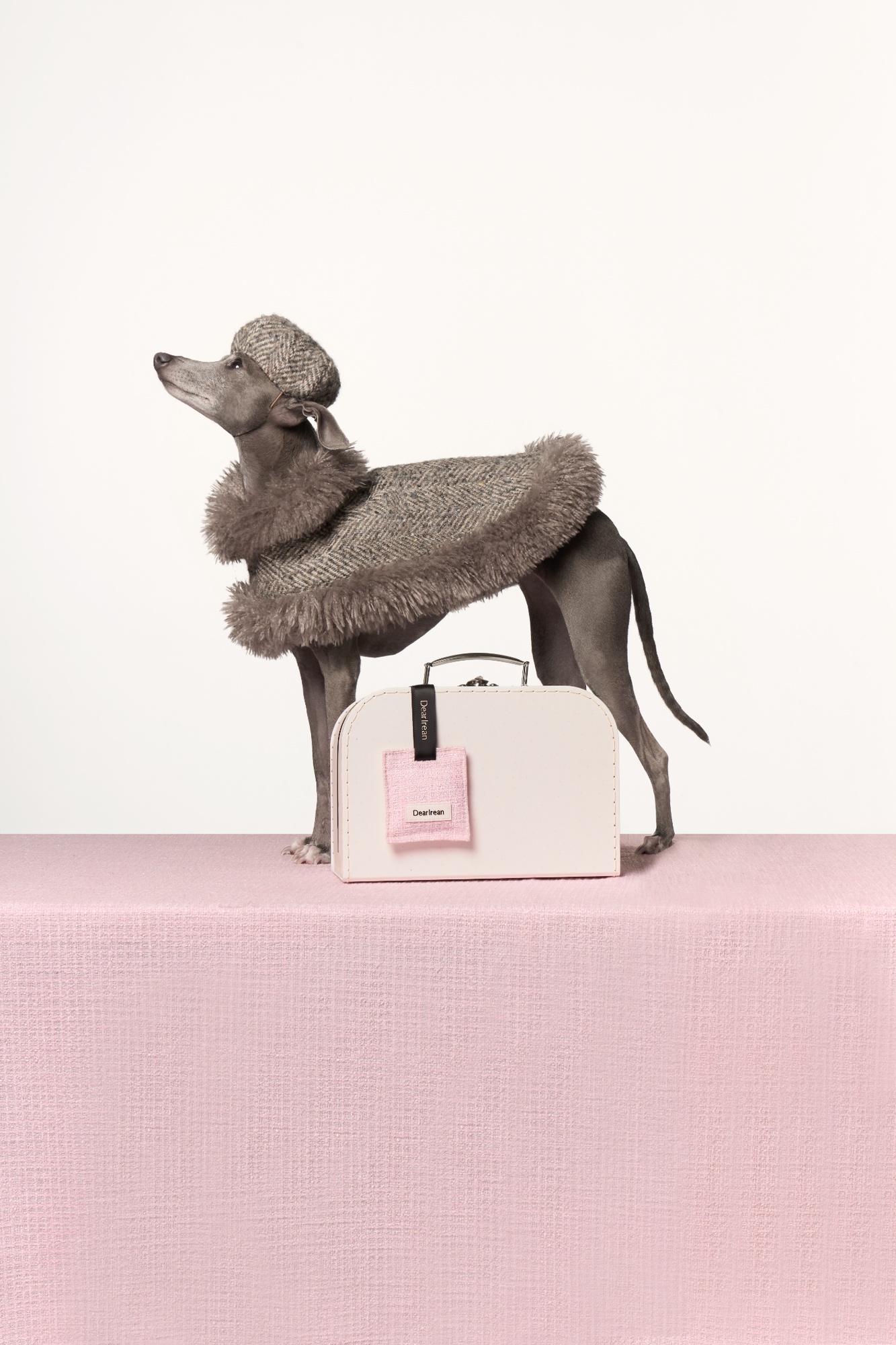 Midsummer Wakayama Car Fragrance · Petite Chic Ver 13 g