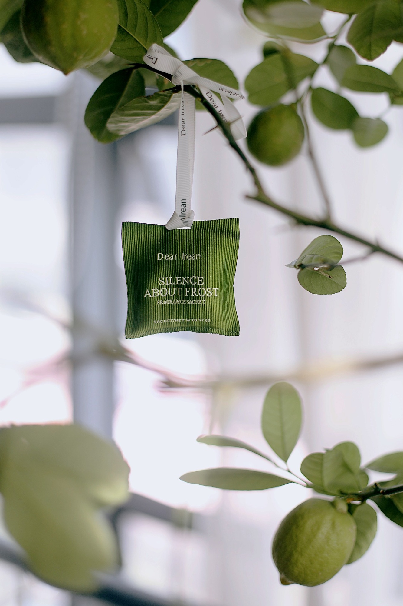 Silence About Frost Car Fragrance · Classic 13 g