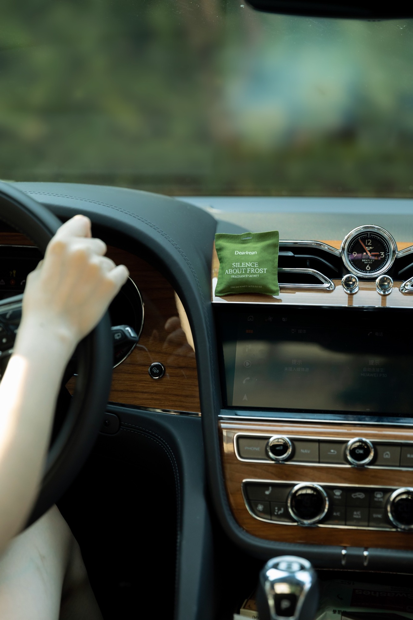 Silence About Frost Car Fragrance · Classic 13 g